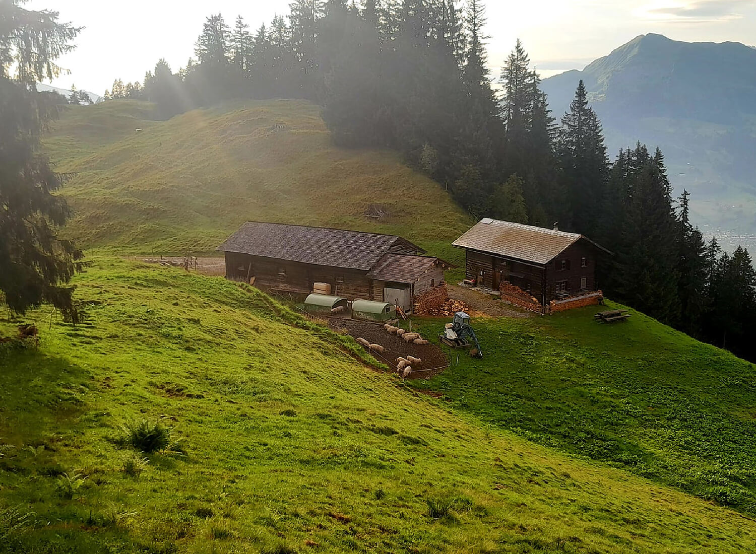 Alphütte und Stall im Abendlicht