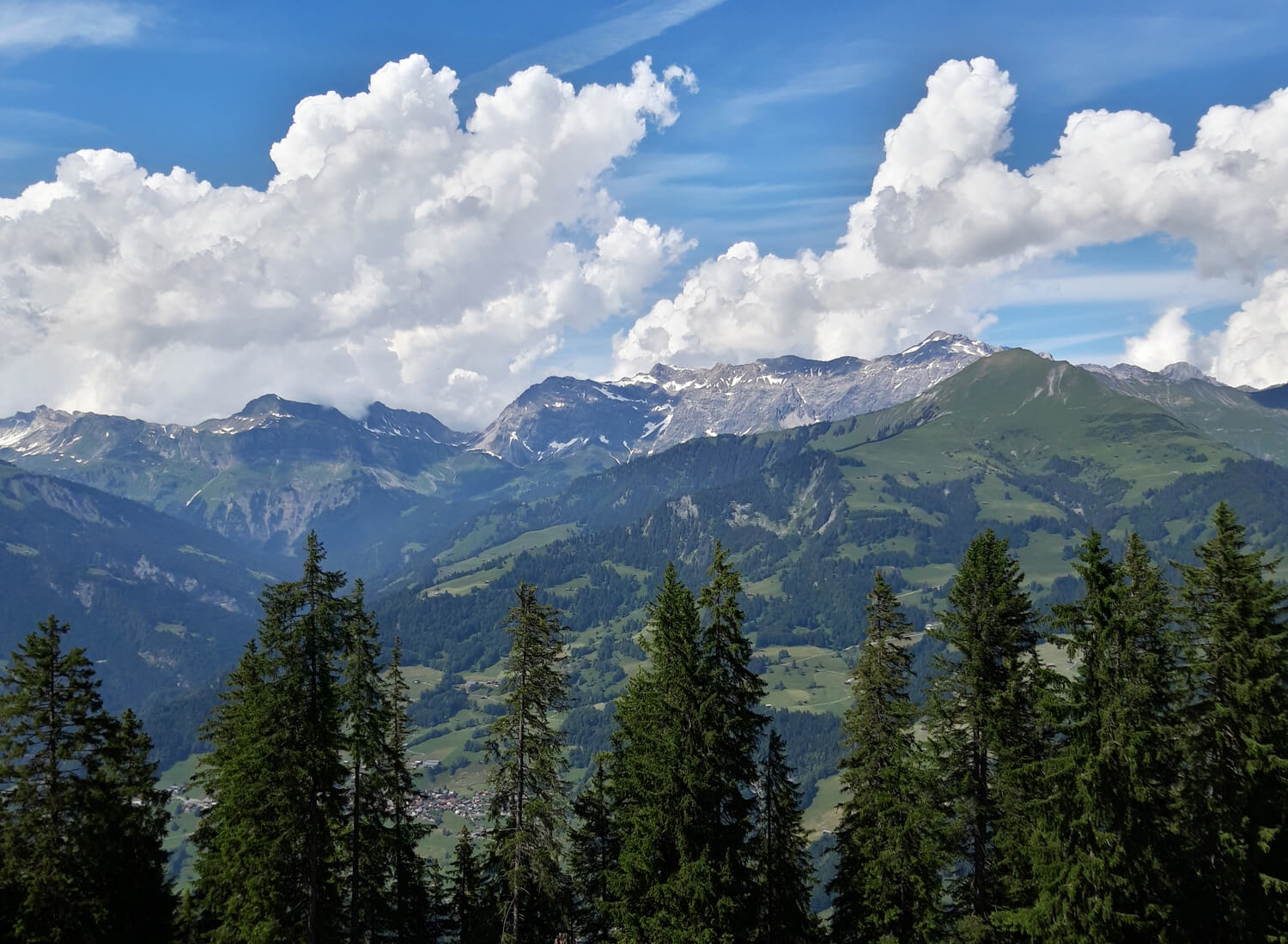 Berge, Wolken und Tannen