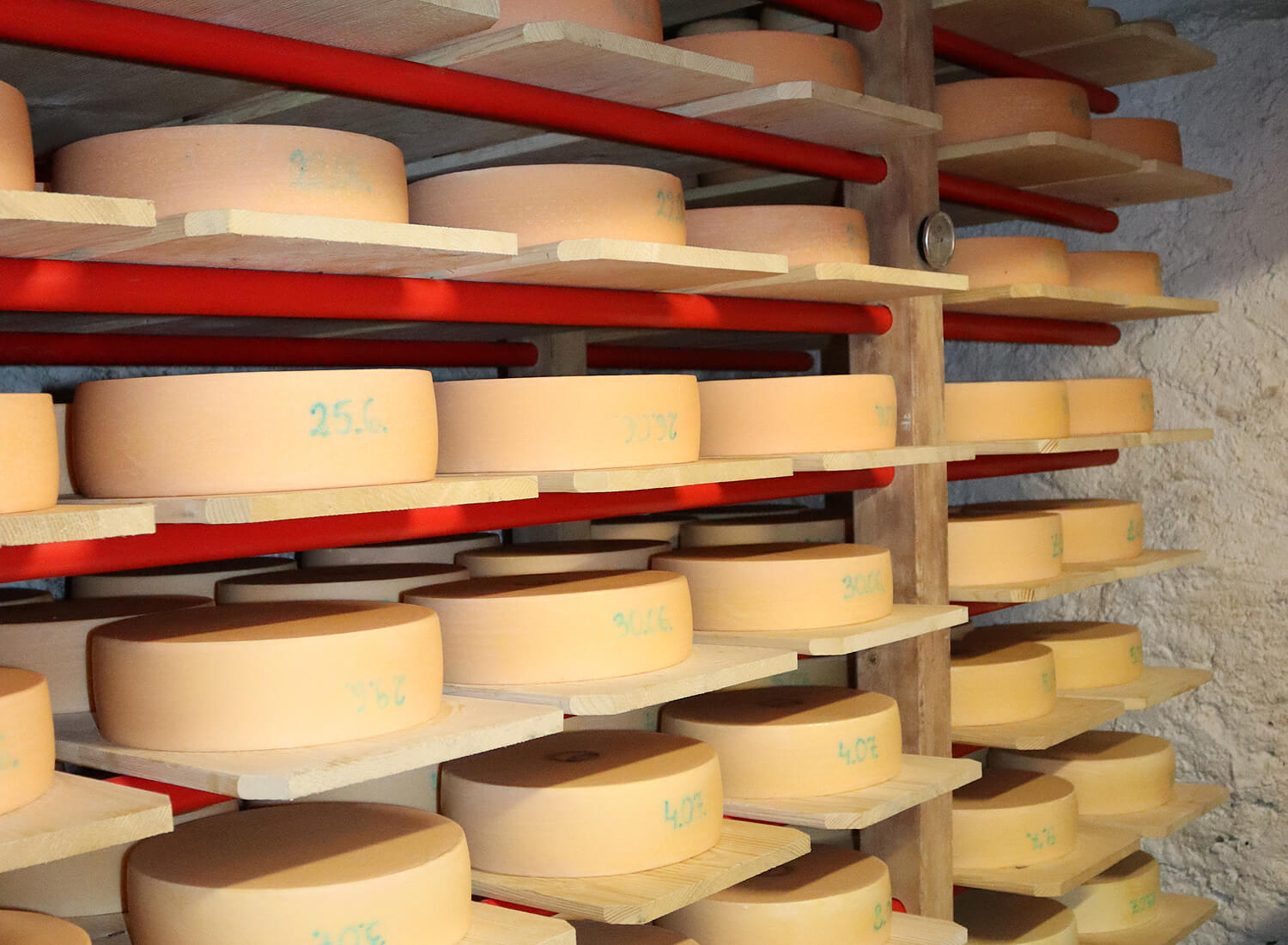 Käsekeller mit Holzregalen und vielen Käselaiben drauf
