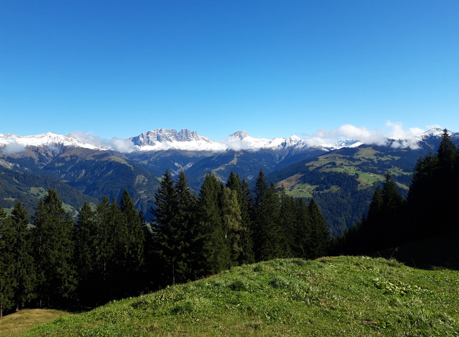 Bergspitzen mit Wolken und Schnee hinter einem Wald und Hügeln
