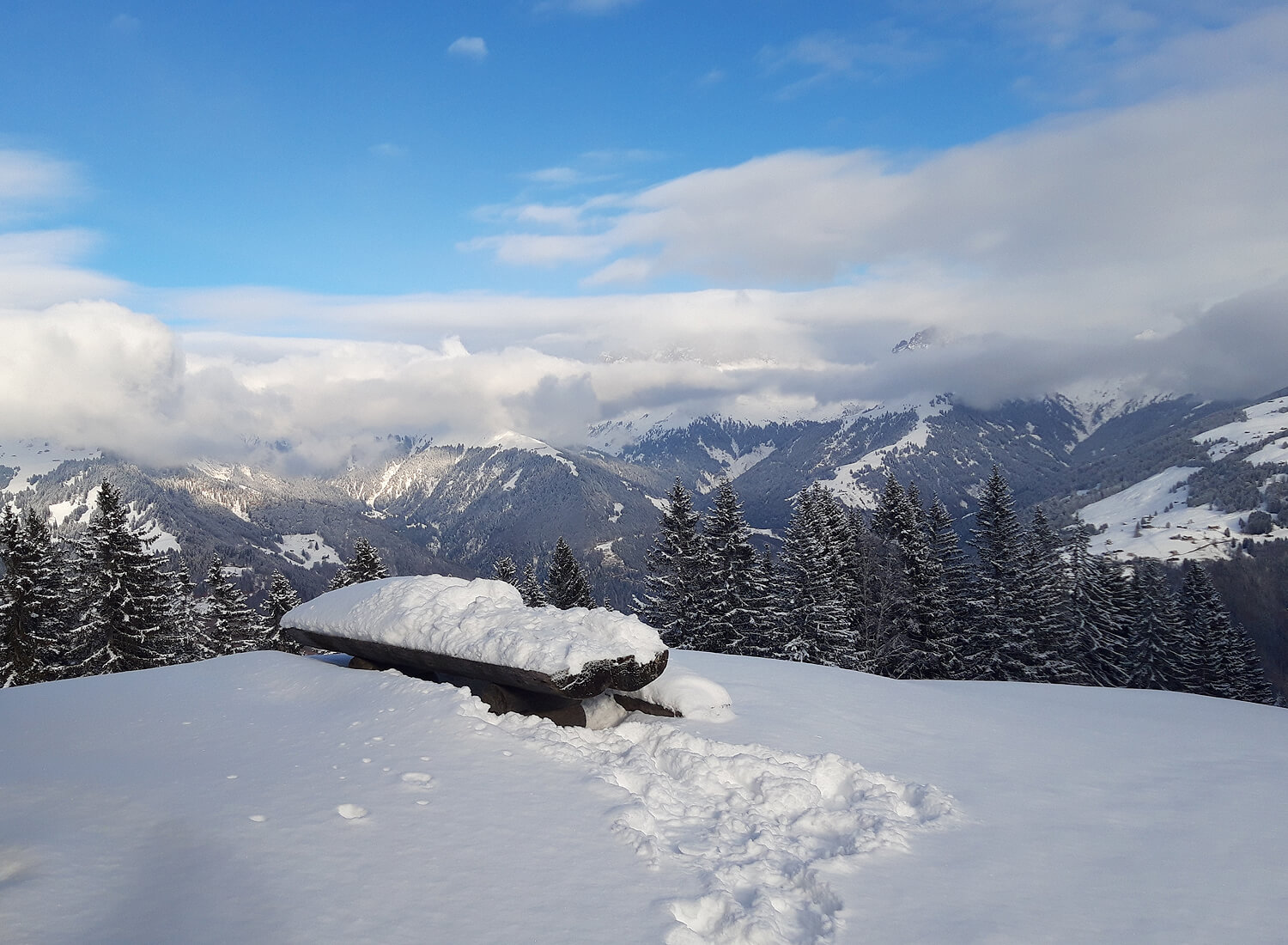 Esstisch aus Holz mit viel Schnee bedeckt
