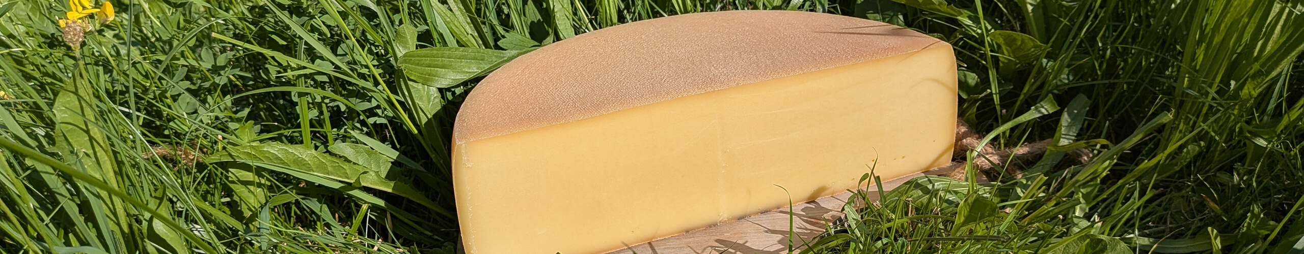 Alpkäse