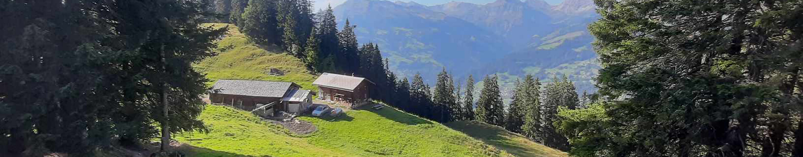 Aussicht auf eine Waldlichtung mit Alp und Stall